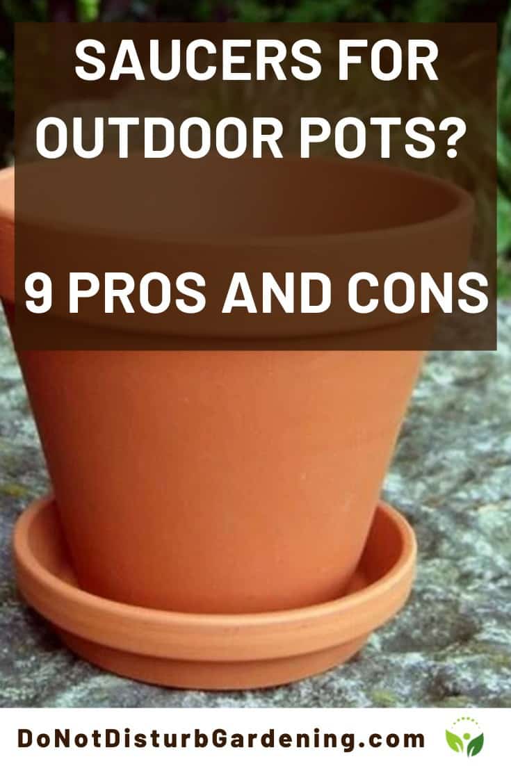 Do Outdoor Pots Really Need Saucers? 9 Pros and Cons Do Not Disturb
