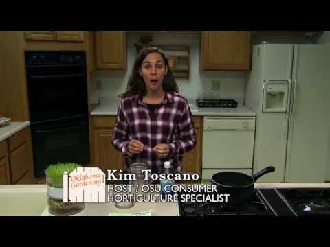 Sprout Safety