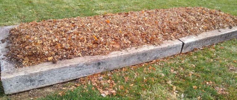 Mulched Garden Bed