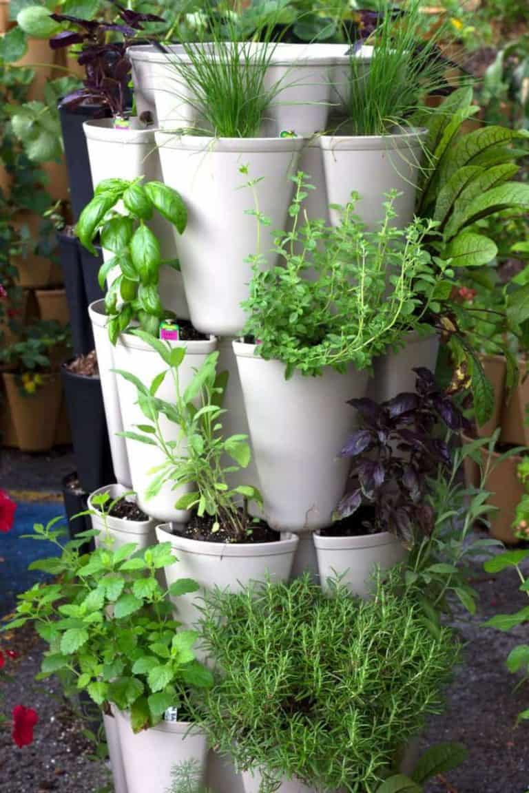 Greenstalk Vertical Garden