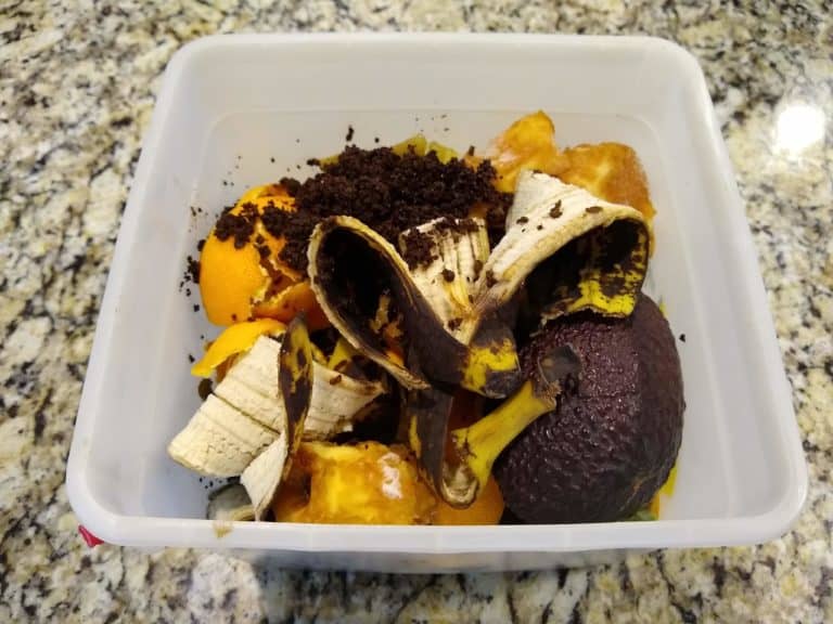 Kitchen Scraps in Garden