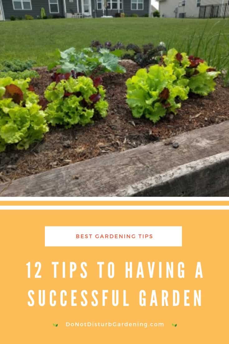 12 Tips for Having a Successful Garden (Beginners and Experts!) Do