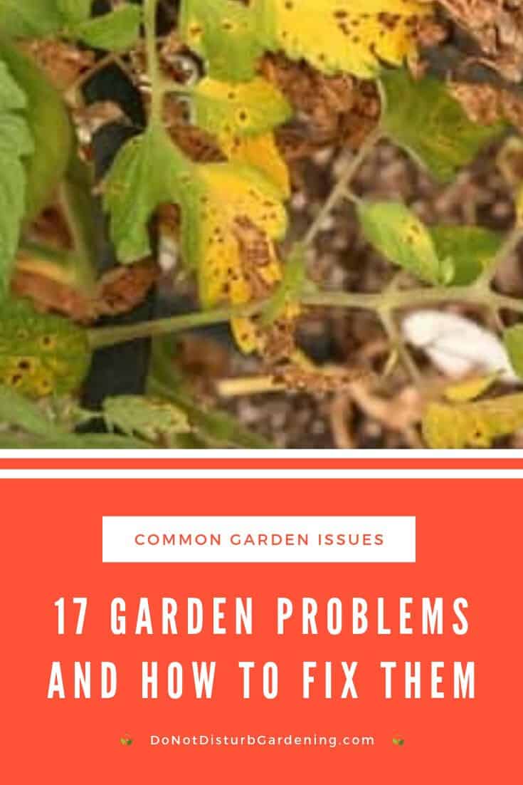17 Common Garden Problems (& How to Fix Them!) Do Not Disturb Gardening