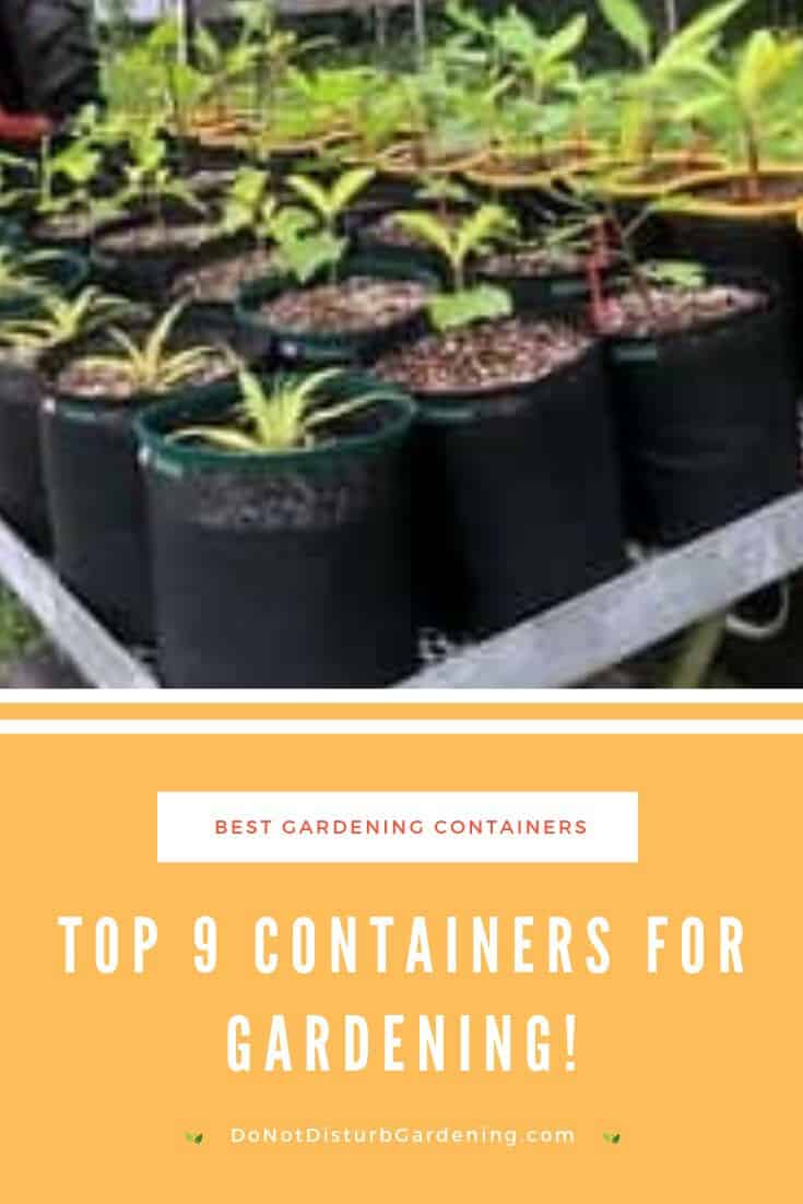 The 9 Best Containers for Growing Vegetables Do Not Disturb Gardening
