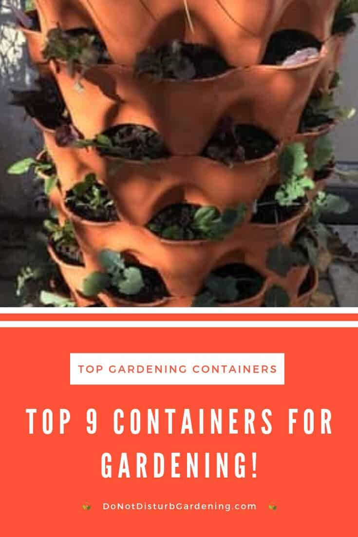 The 9 Best Containers for Growing Vegetables Do Not Disturb Gardening