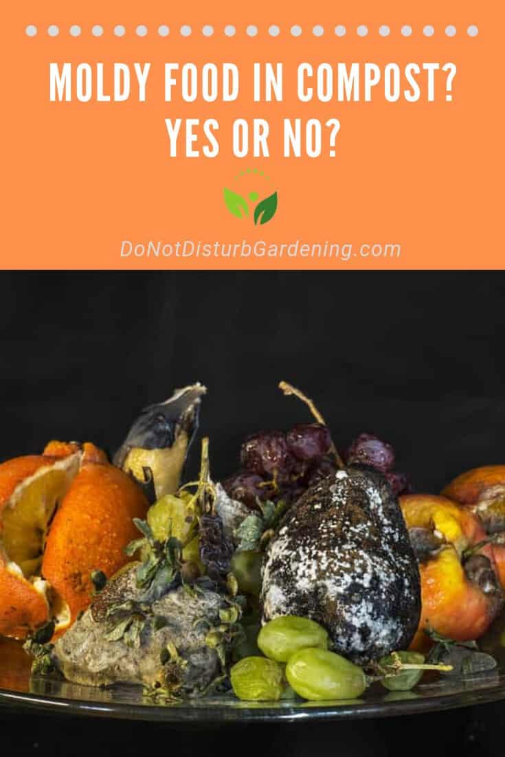 Can I Put Moldy Food in My Compost or Worm Bin? Do Not Disturb Gardening