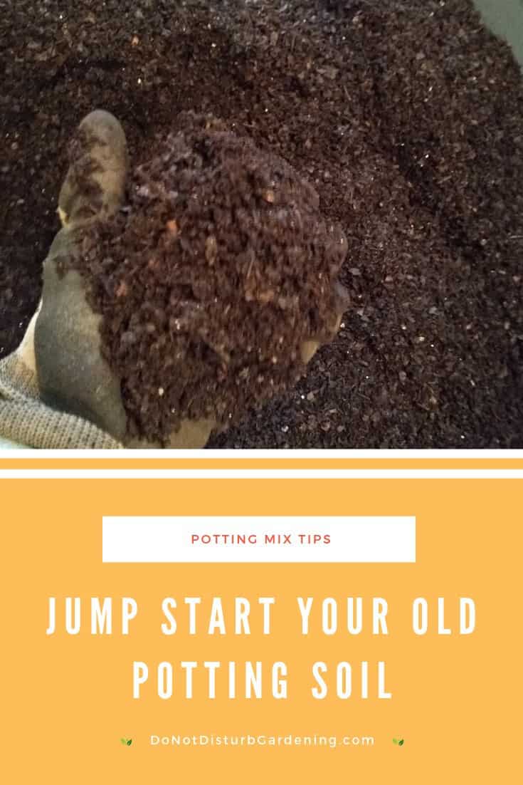Does Potting Soil Go Bad? Do Not Disturb Gardening
