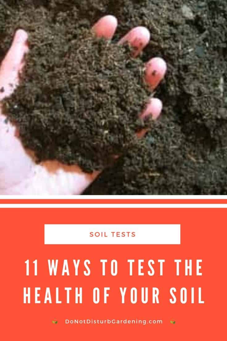 How to Know if Your Soil is Healthy 11 Simple Tests Do Not Disturb