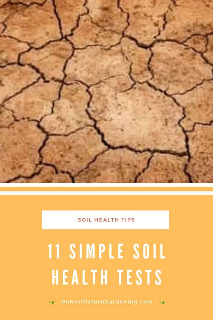 How To Know If Your Soil Is Healthy 11 Simple Tests Do Not Disturb Gardening