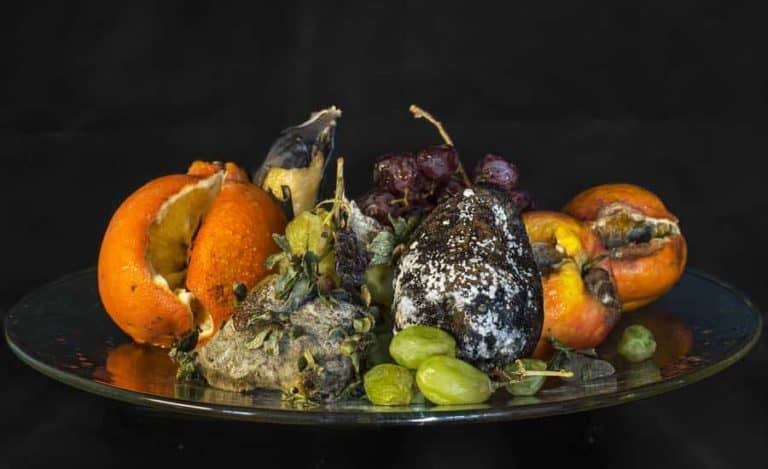 Moldy Food In Compost