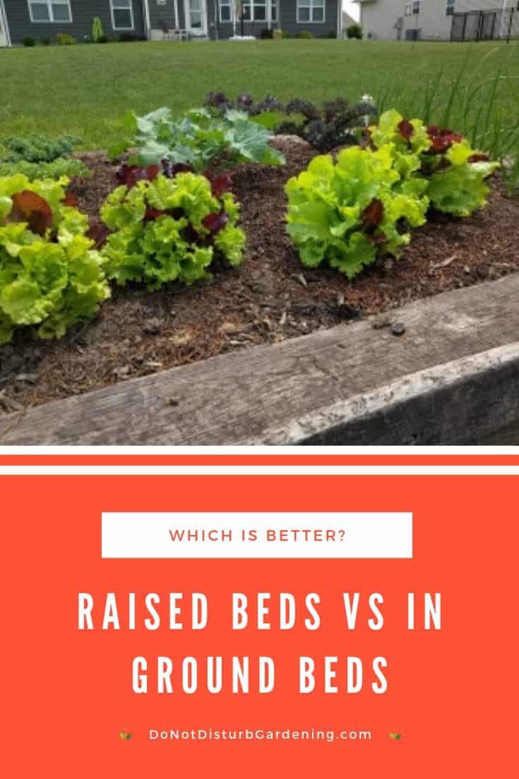 Are Raised Garden Beds Better than InGround Garden Beds? Do Not Disturb Gardening