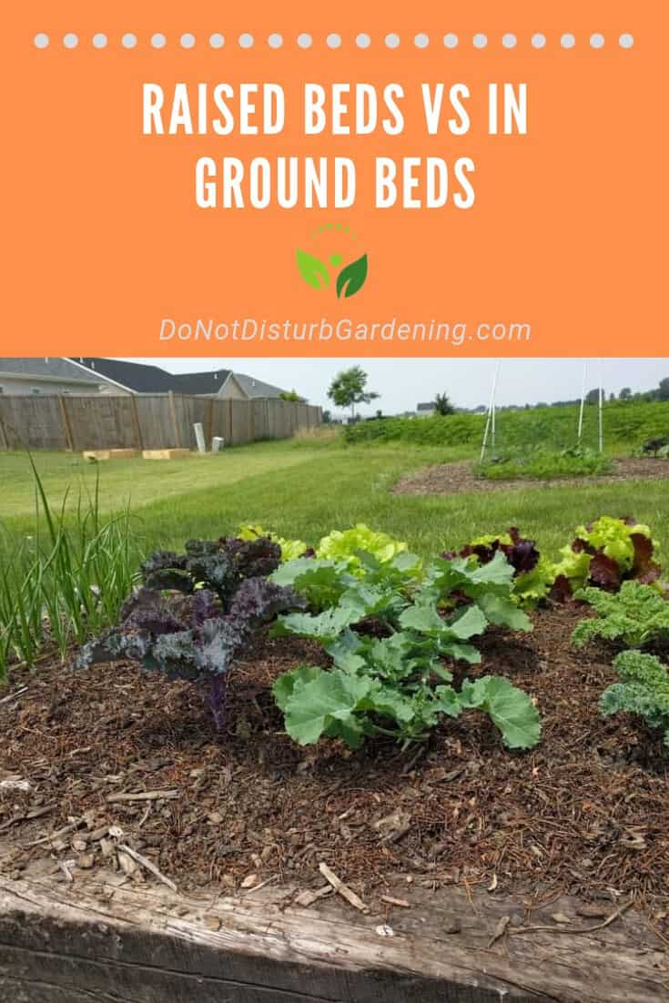 Are Raised Garden Beds Better than InGround Garden Beds? Do Not