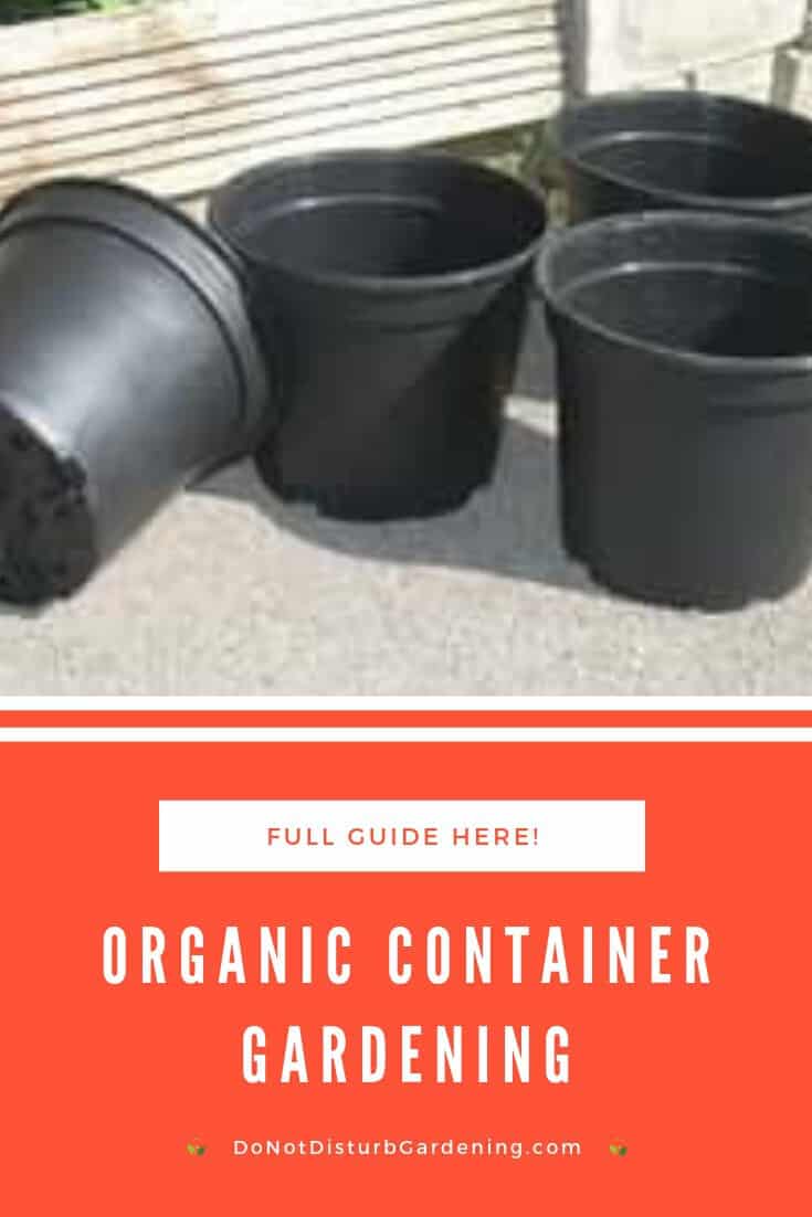 What Is Organic Container Gardening? A Guide to Getting Started! Do Not Disturb Gardening