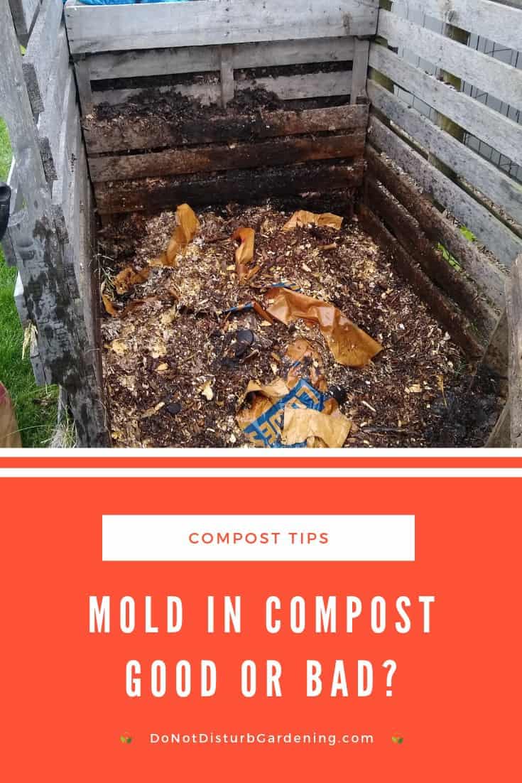 Why Does My Compost Have Mold? Do Not Disturb Gardening