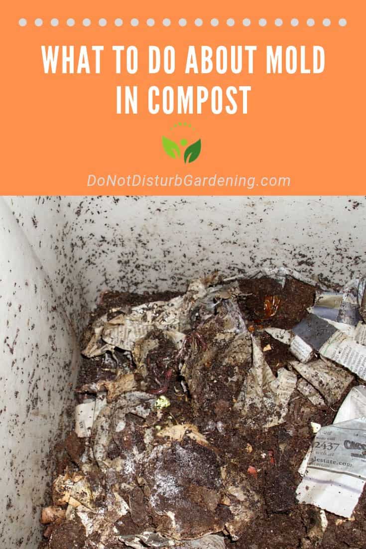 Why Does My Compost Have Mold? Do Not Disturb Gardening