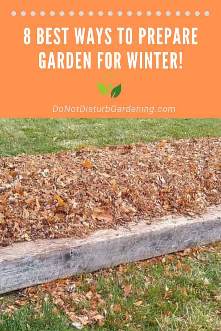 Best Way to Prepare Your Garden for Winter for a Great Spring – Do Not ...