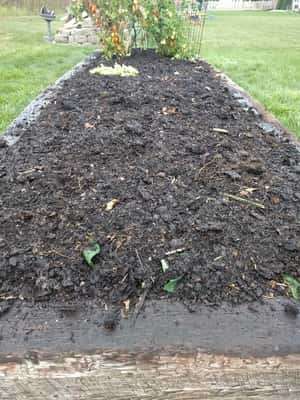 Composto Mulch