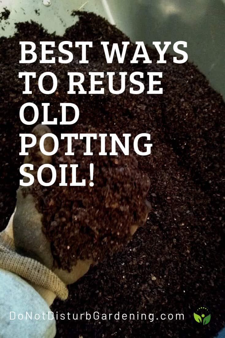 Does Potting Soil Go Bad? Do Not Disturb Gardening