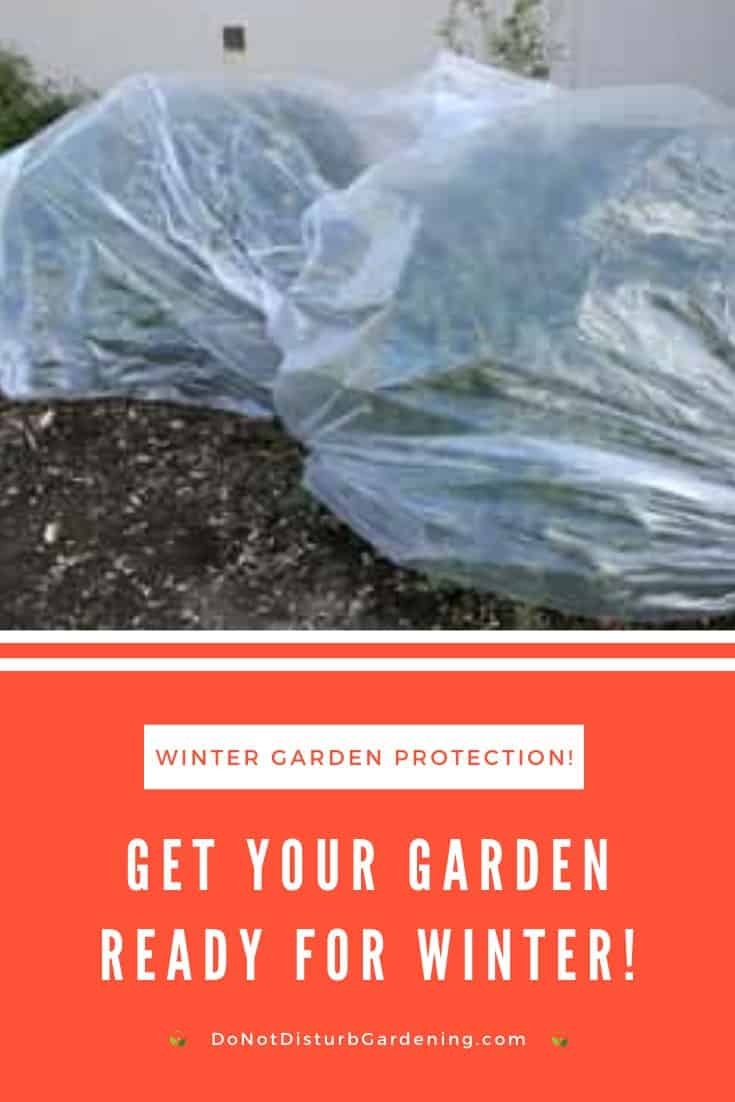 How to Grow a Vegetable Garden in Winter – Do Not Disturb Gardening