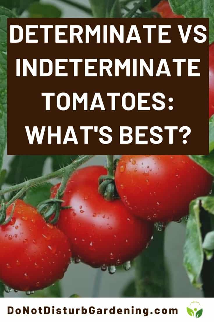 How to Tell the Difference Between Determinate and Indeterminate