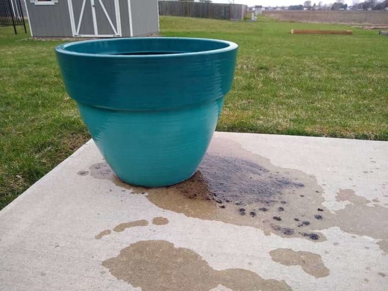 4 EASY Ways to Keep Soil From Washing Out of Pots Do Not Disturb