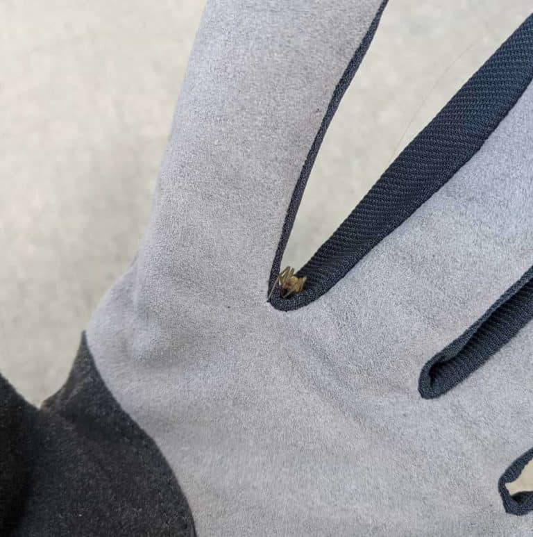 Spider on Garden Gloves