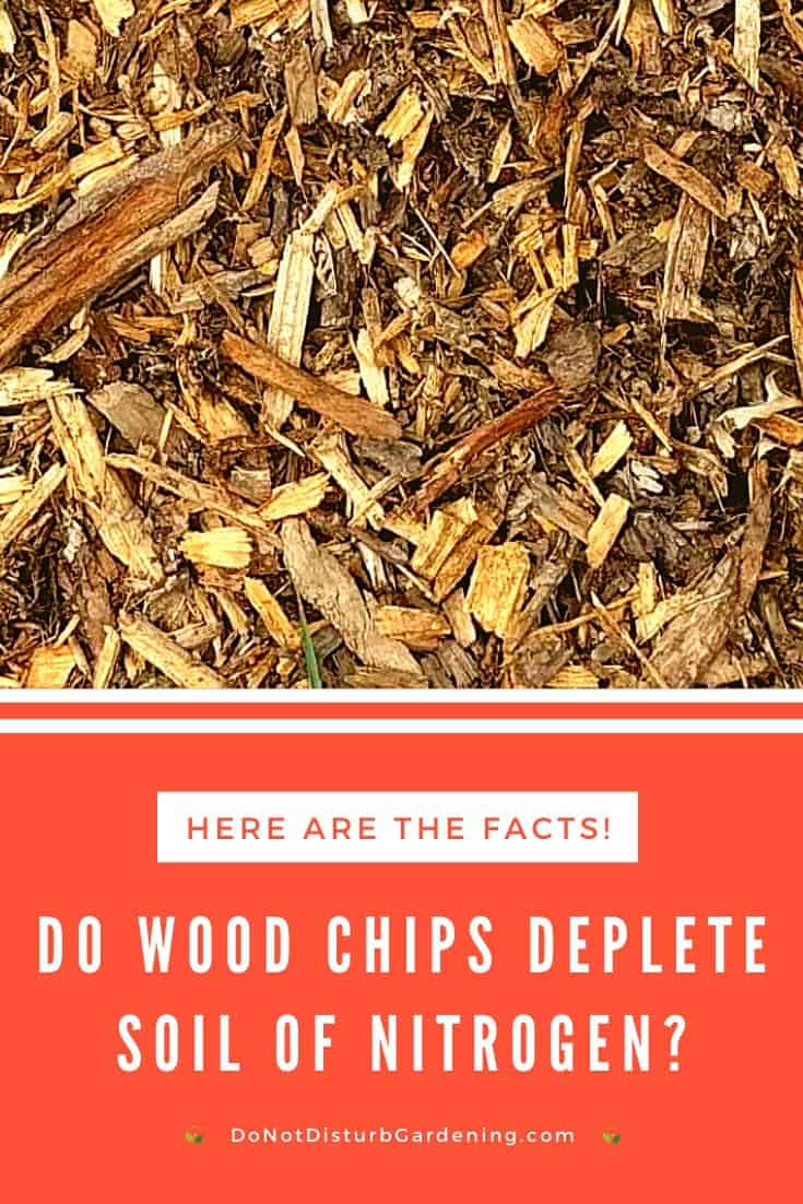 Do Wood Chips Deplete Soil of Nitrogen (1) Do Not Disturb Gardening