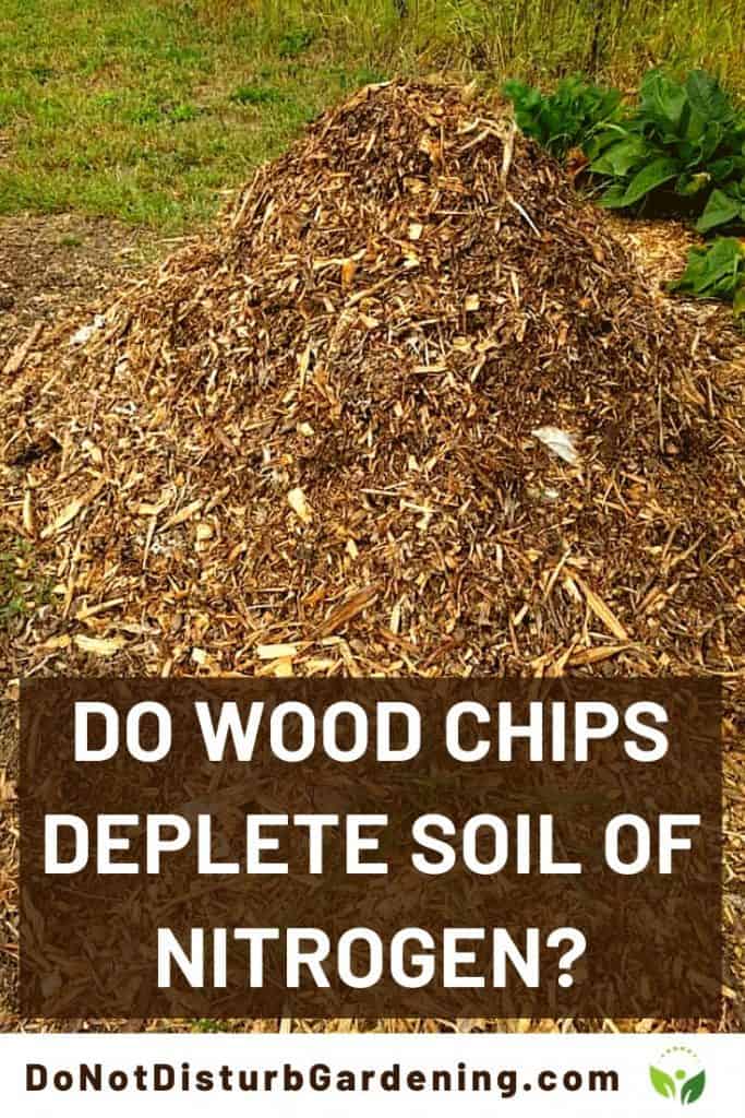 Do Wood Chips Deplete Soil of Nitrogen Do Not Disturb Gardening
