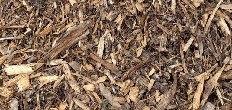 Wood Chips as Mulch