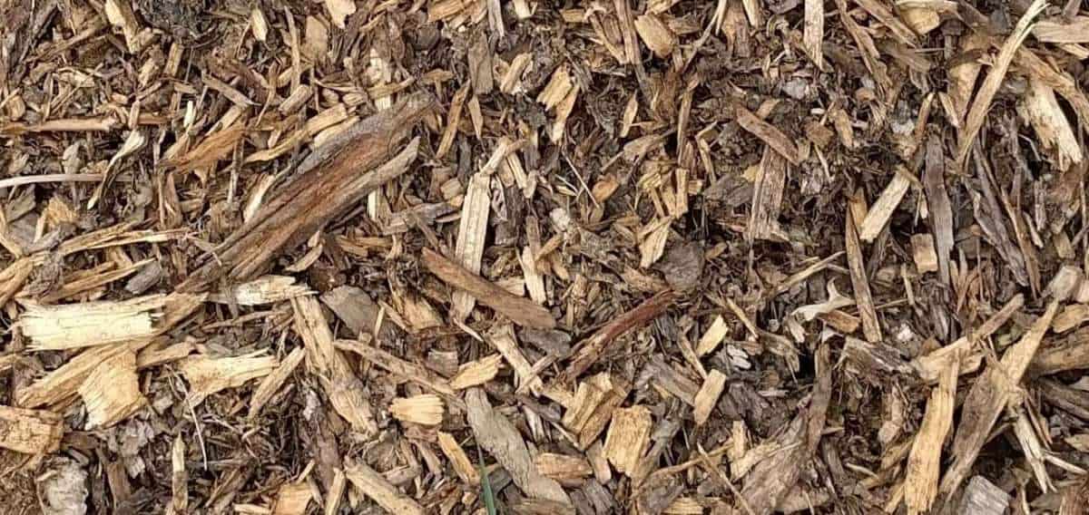 Do Wood Chips Deplete Soil Of Nitrogen Here Are The Facts Do Not Disturb Gardening