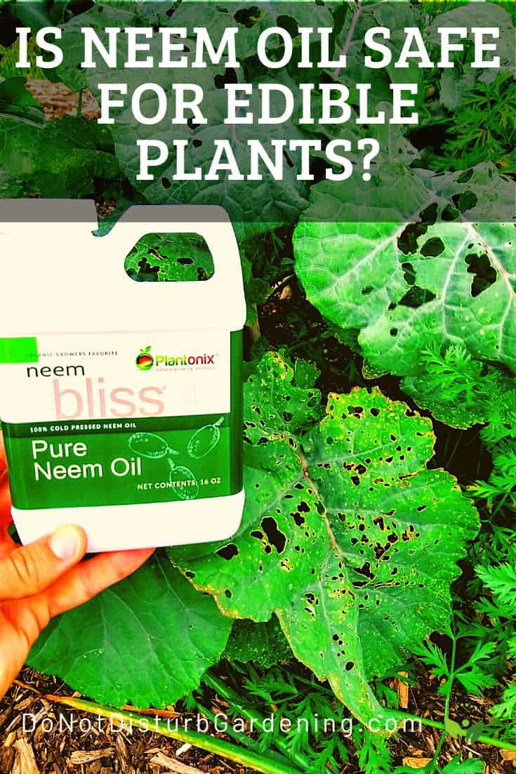 Is Neem Oil Safe for Plants? Do Not Disturb Gardening