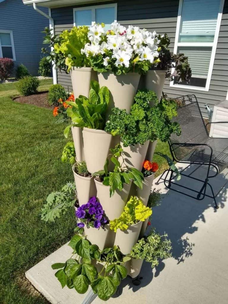 Flowers and Herbs