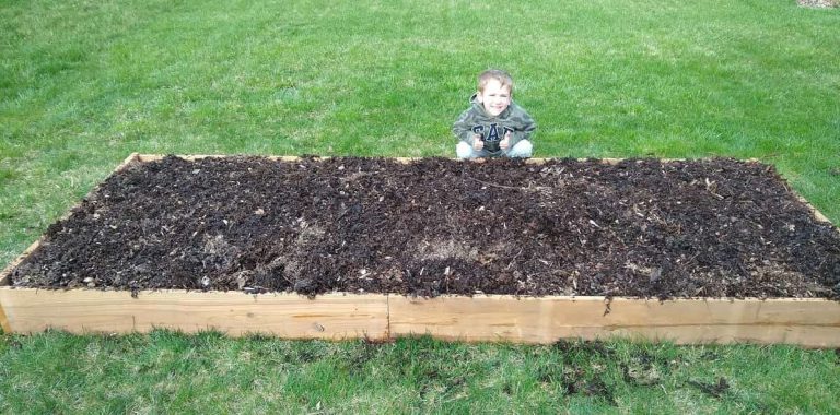 New Raised Bed