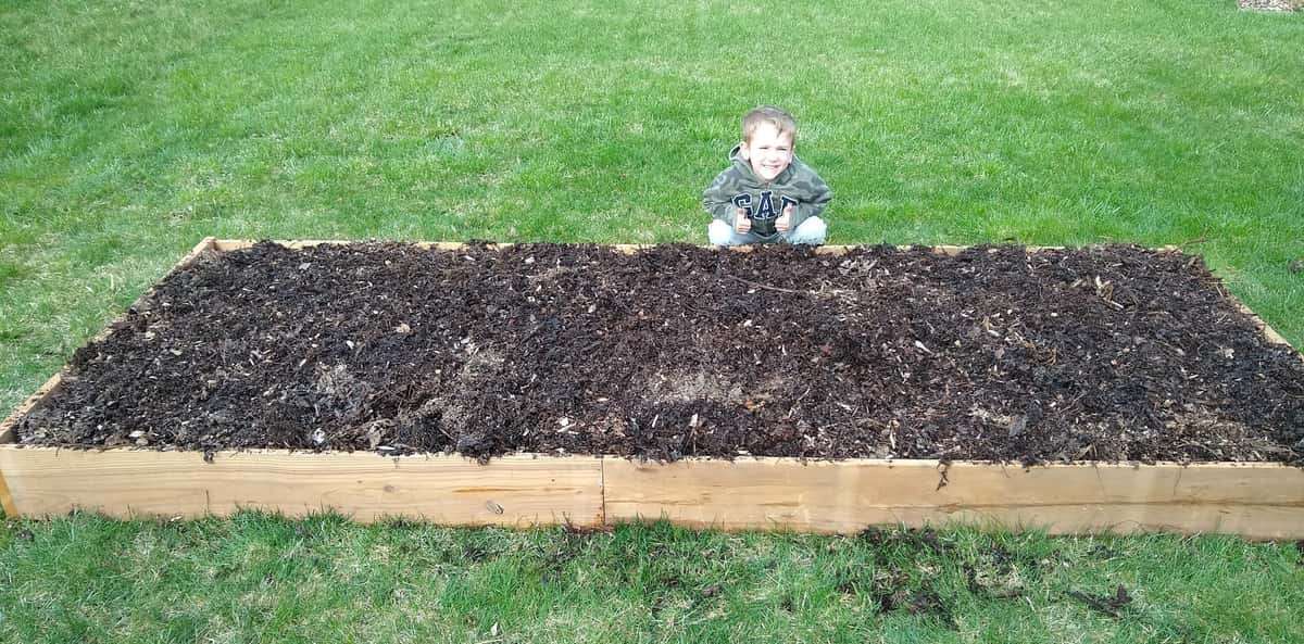 How Long Does a Raised Garden Bed Last? Do Not Disturb Gardening